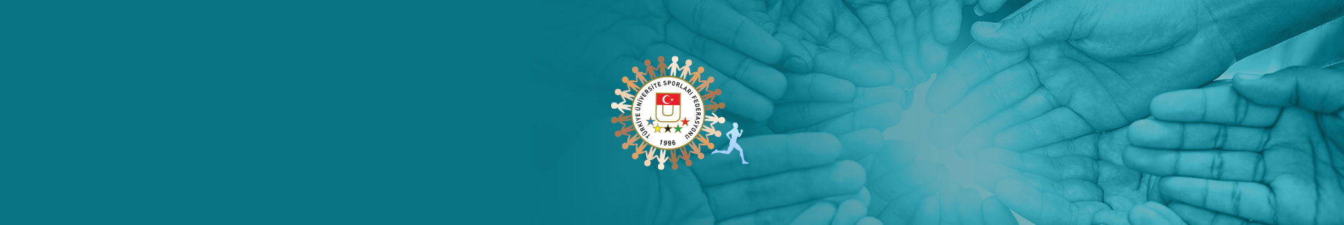 Shape Divider Sample Image